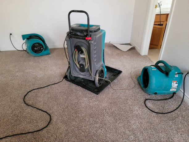 Best Water damage restoration near me  in Kenmore, NY