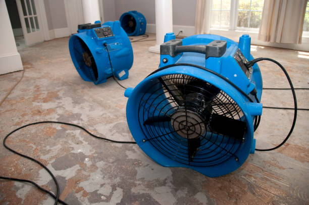 Best Flood damage cleanup  in Kenmore, NY