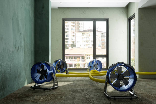 Best Sewage cleanup and water damage restoration  in Kenmore, NY
