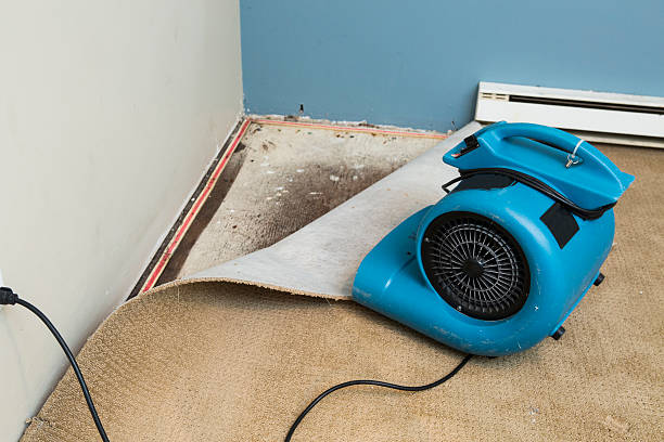 Best Flood restoration services  in Kenmore, NY